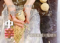 【中辛】味噌づくりセット（塩切麹タイプ）