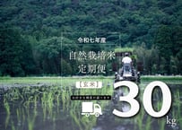 【令和７年産】自然栽培米の定期便（玄米）30kg