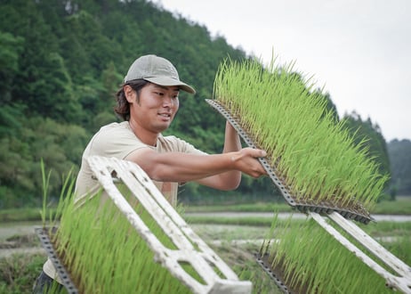 【令和７年産】自然栽培米の定期便（玄米）5kg