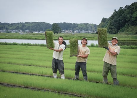 【令和７年産】自然栽培米の定期便（玄米）5kg