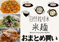 【リピート購入におすすめ】自然栽培の米麺（おまとめ購入）