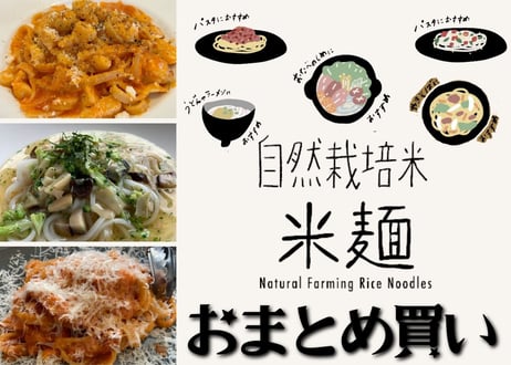 【リピート購入におすすめ】自然栽培の米麺（おまとめ購入）