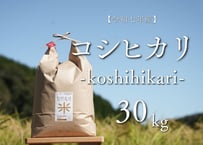 自然栽培米【コシヒカリ】 　30kg