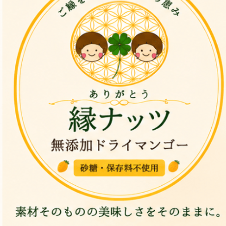 無添加有機ドライマンゴー