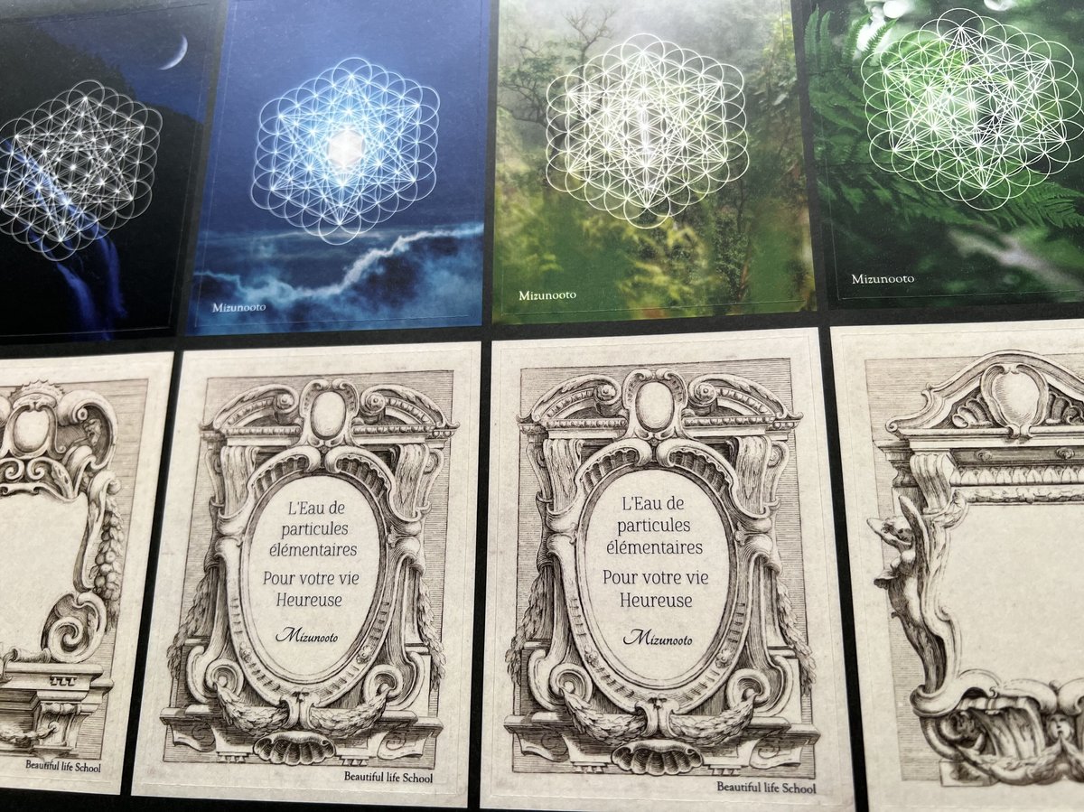 ウォーターセラピー シャワーヘッド浄水器 | Junko Ave's STORE