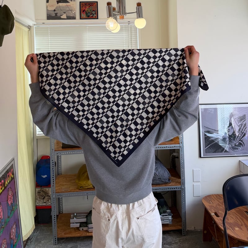 PHEENY / Cotton Silk Checkered Scarf | FLUTTER