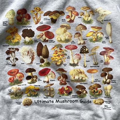 ATARAS SCREEN PRINTING / L/S Sweat "ULTIMATE MUSHROOM GUIDE"