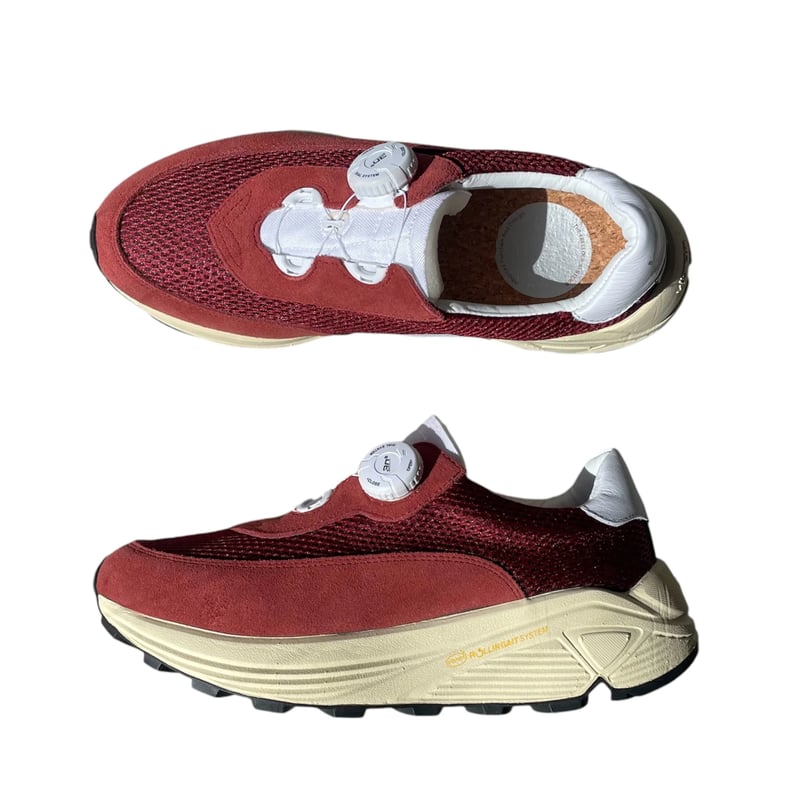 pg / NEW DAWN | FLUTTER