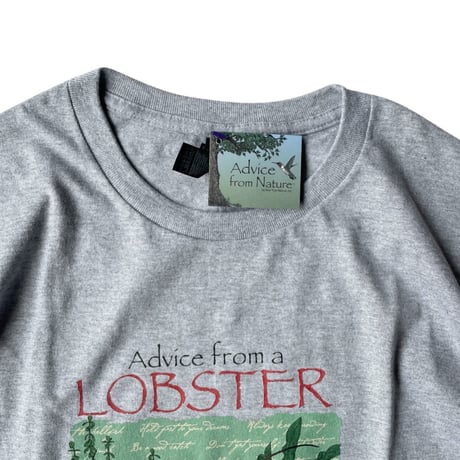 Advice from Nature / Advice LOBSTER