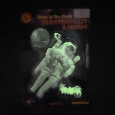 Glow in the Dark 3D ASTRONAUT & MOON