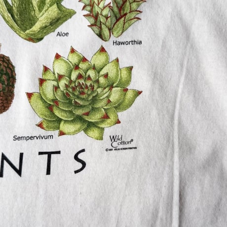 ATARAS SCREEN PRINTING / SUCCULENTS