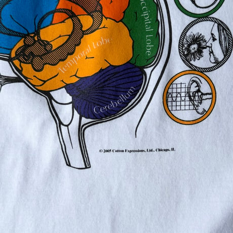 Cotton Expressions / Brainatomy