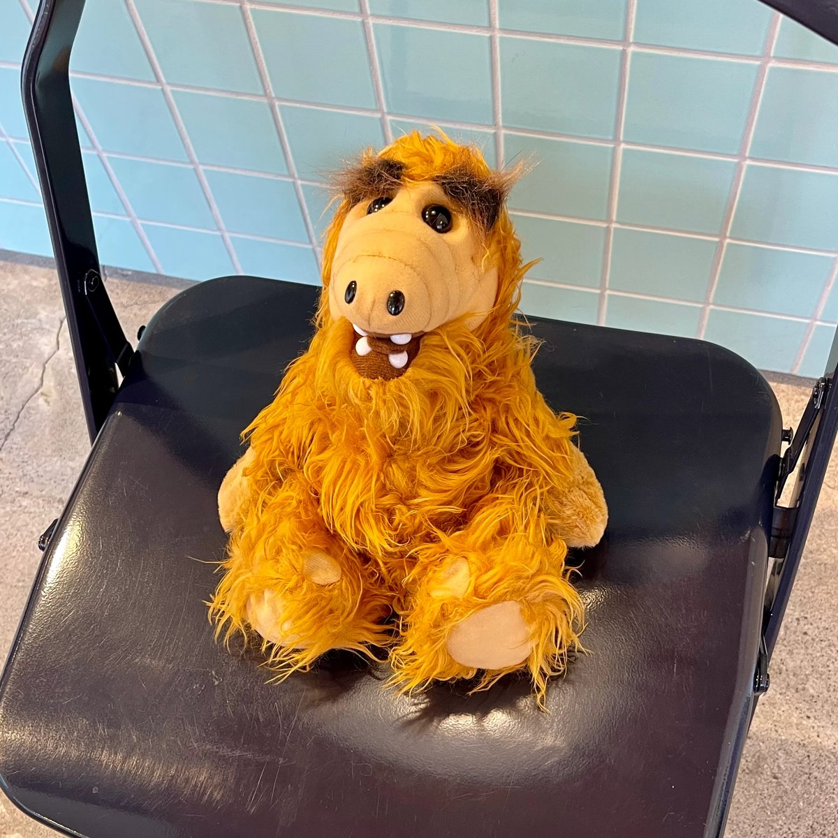 ALF PLUSH | FLUTTER