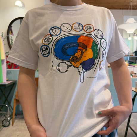 Cotton Expressions / Brainatomy