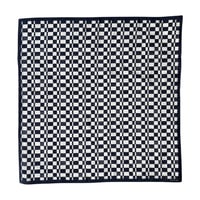 PHEENY / Cotton Silk Checkered Scarf