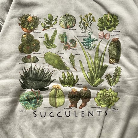 ATARAS SCREEN PRINTING /L/S Sweat "SUCCULENTS"