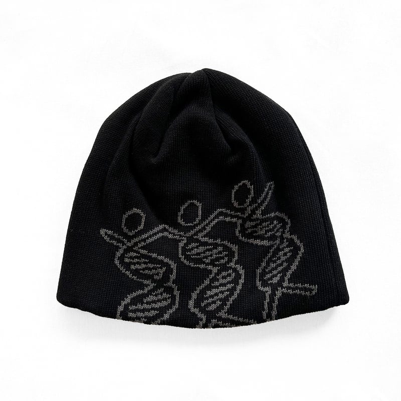 帽子 Dancing DNA Beanie Dancing DNA Beanie