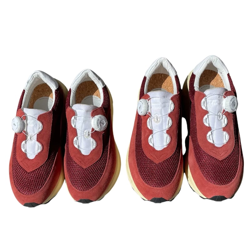 pg / NEW DAWN | FLUTTER