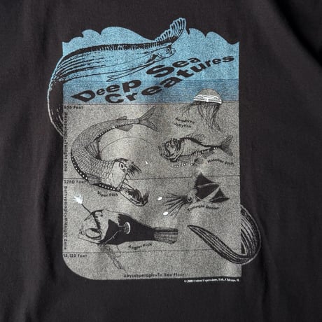 Cotton Expressions / DEEP SEA CREATURES