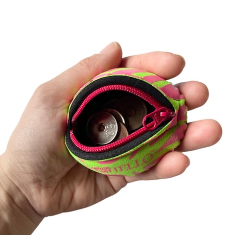 SAYHELLO / Slap Coin Case