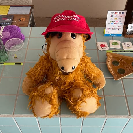 SAVE SHOCK /  HIKE MOUNTAIN GREAT AGAIN CAP