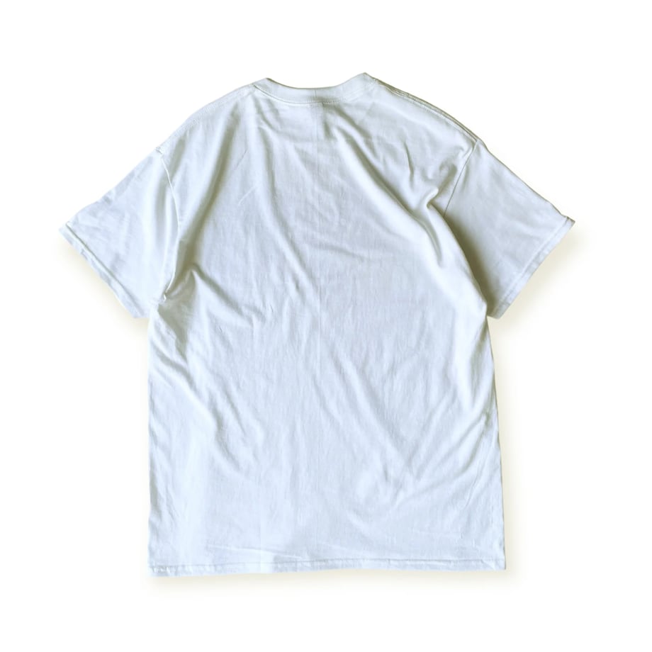 66ca82b02ead37065d245c1b