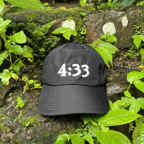 garbage / PRE CURVE BRIM 6 PANEL CAP (4:33)