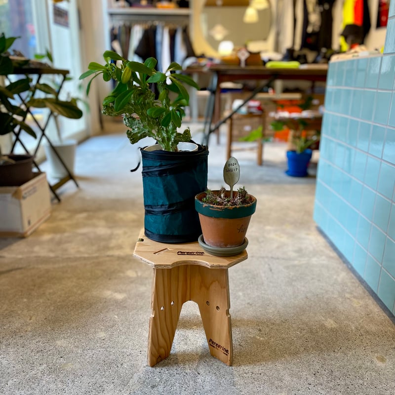 Peregrine Design Factory / RABBIT STAND | FLUTTER
