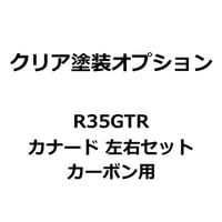 【クリア塗装オプション】R35 GTR カナード カーボン(左右セット） カーボン用
