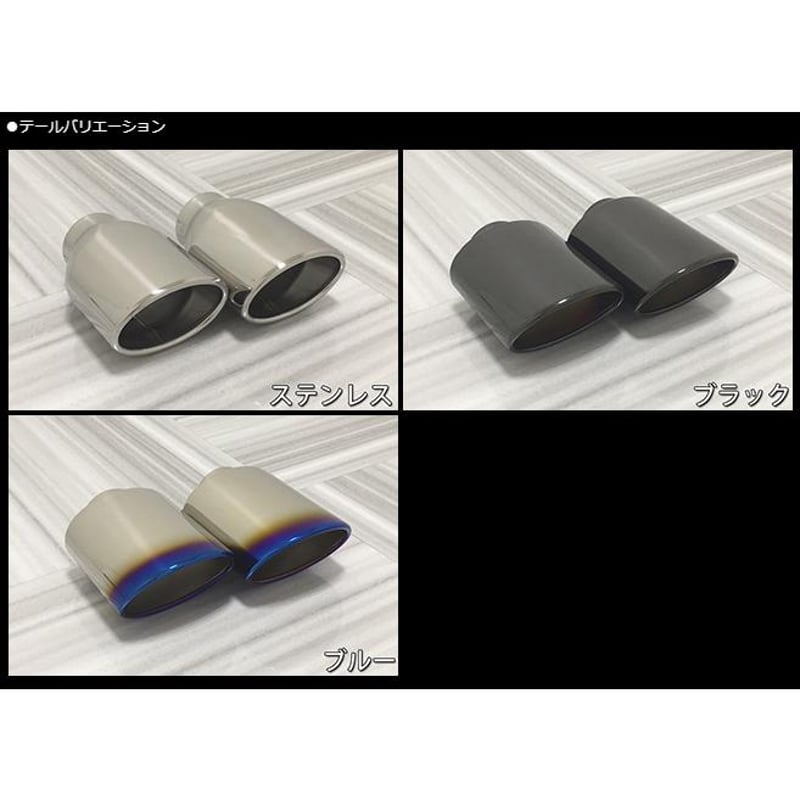 V-VISION ランクル70 (3DA-GDJ76W) サイドマフラー /ランドクルーザー