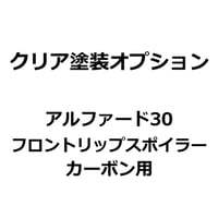 【クリア塗装オプション】アルファード30系 フロントリップスポイラー カーボン用