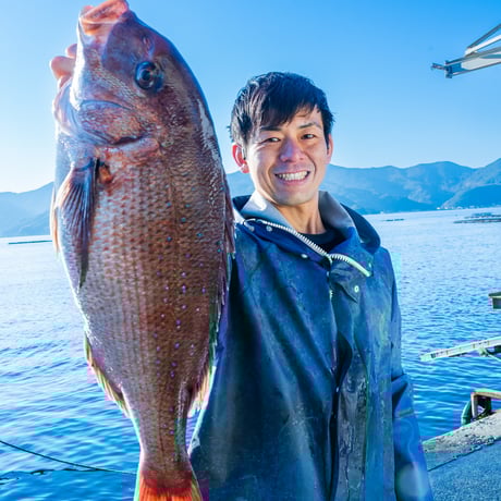 定番商品　白寿真鯛ゼロ×プレヴナンス静井シェフ　アンチョビソース　※随時発送