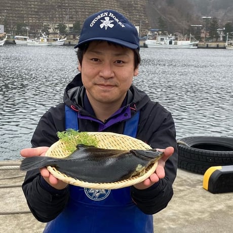 ※個数限定　青森県中泊さかなプロダクツ協議会『マツカワカレイ』×『ル・マロニエ』モリタジュンイチロウ氏 シンプル　※3月後半以降発送