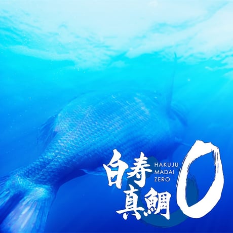 定番商品　白寿真鯛ゼロ×プレヴナンス静井シェフ　アンチョビソース　※随時発送