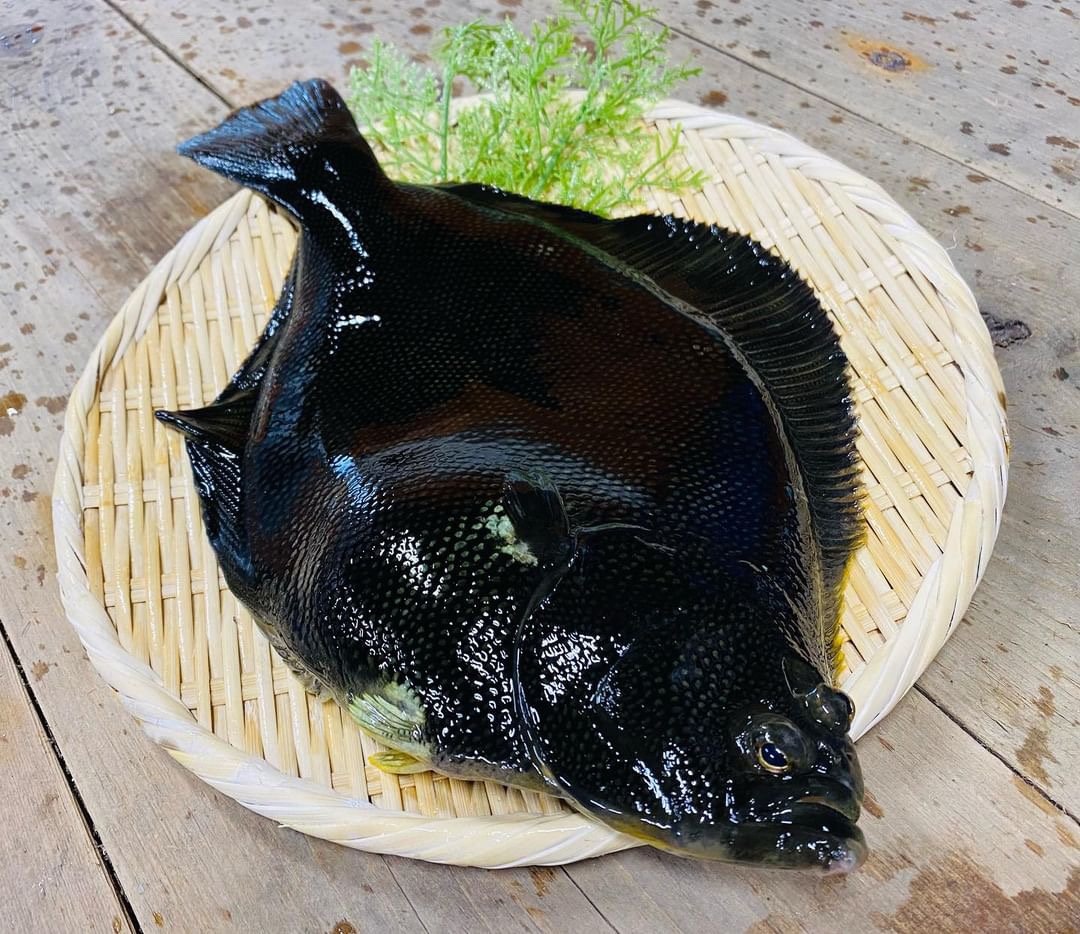 個数限定 青森県中泊さかなプロダクツ協議会『マツカワカレイ』×『ル