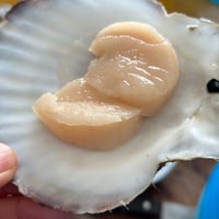 ※個数限定　釜石市大槌湾「どこよりも甘くてうまいじいちゃんのホタテ」×北海道シェフワングランプリ初代優勝者 下國 伸シェフ　プロフェッショナル　※12月末ごろ発送予定