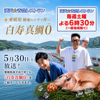 白寿真鯛0　熟成鯛めしセット～究極のTKG～2人前