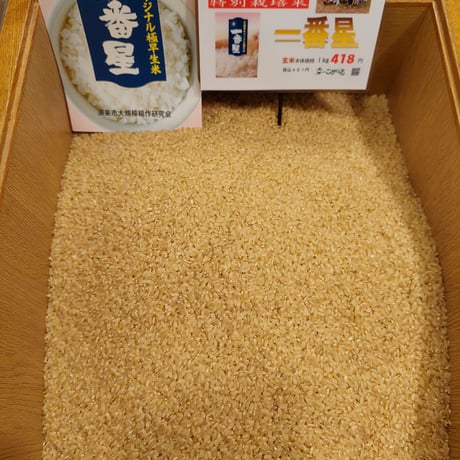 茨城県産特別栽培米 「一番星」2kg