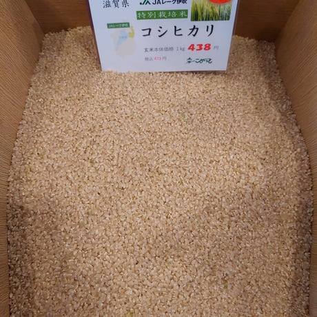 JAレーク滋賀県産「特別栽培米コシヒカリ」10㎏