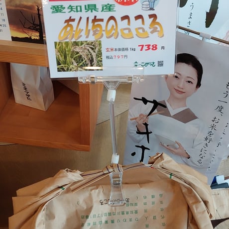 愛知県産「あいちのこころ」5㎏