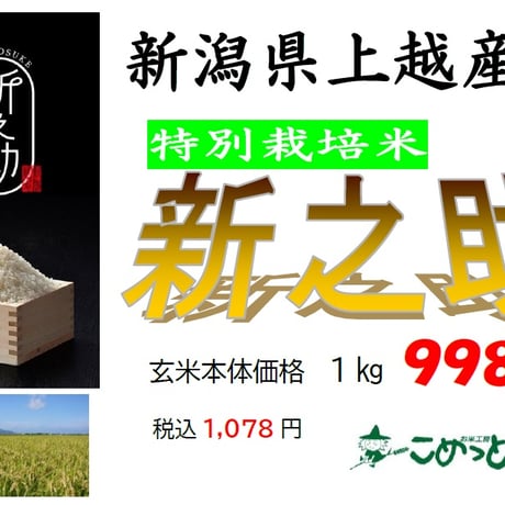 新潟県上越産 特別栽培米「新之助」2kg
