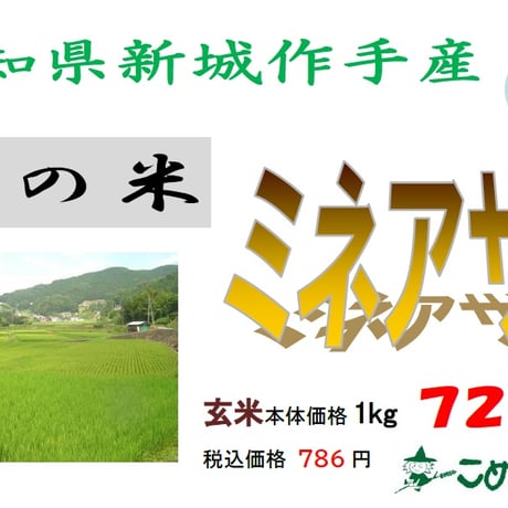 愛知県産作手「ミネアサヒ」10㎏