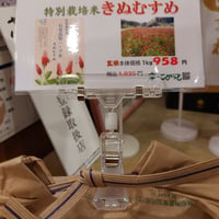 島根石見高原ハーブ米「特別栽培米きぬむすめ」10kg