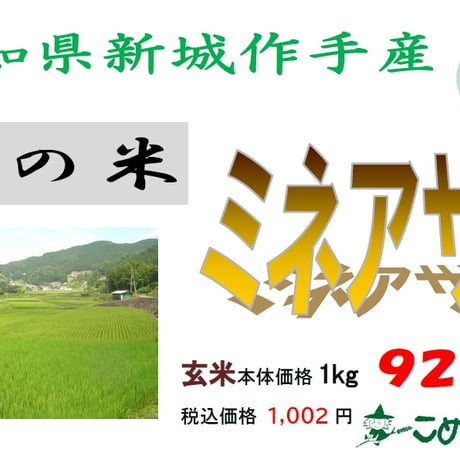 愛知県作手産「ミネアサヒ」 2kg