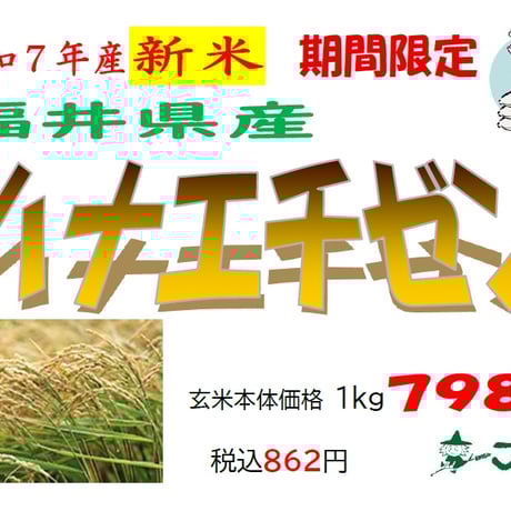 令和7年産福井県産「ハナエチゼン」5㎏