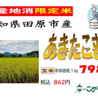 愛知県田原市産「あきたこまち」10kg