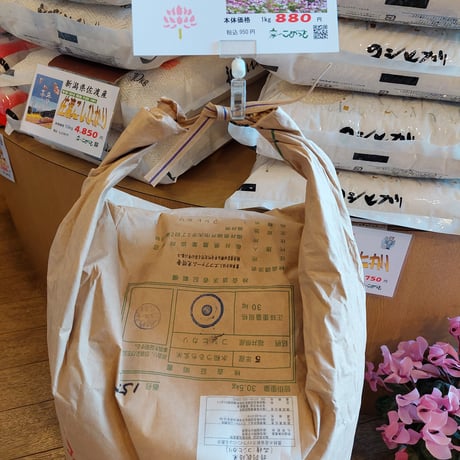 福井県永平寺町産農薬・化学肥料不使用「れんげ米コシヒカリ」2kg