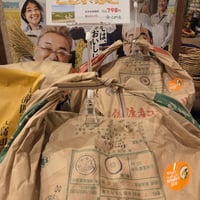 新潟県佐渡産 特別栽培米「朱鷺と暮らす郷米こしいぶき」10㎏