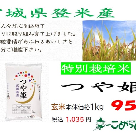 宮城県登米産特別栽培米「つや姫」10kg