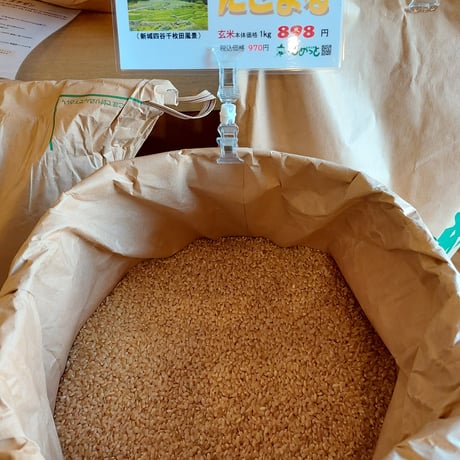 愛知県新城産「にこまる」10㎏